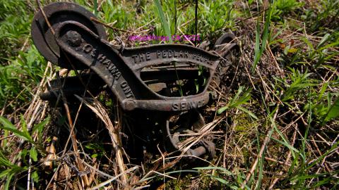 Will I Forever Be Alone.... - MAY 2023 - IMG_5365.JPG