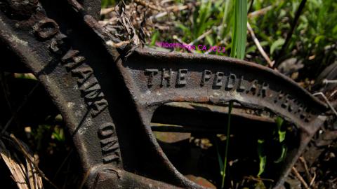 Will I Forever Be Alone.... - MAY 2023 - IMG_5366.JPG