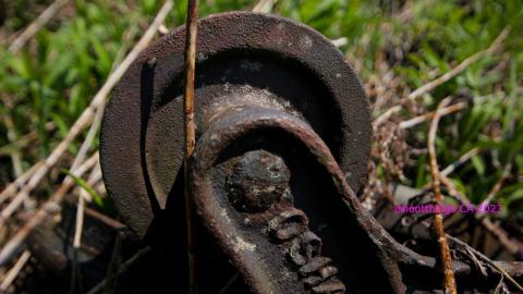 Will I Forever Be Alone.... - MAY 2023 - IMG_5367.JPG