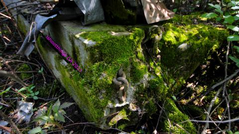 Will I Forever Be Alone.... - MAY 2023 - IMG_5368.JPG