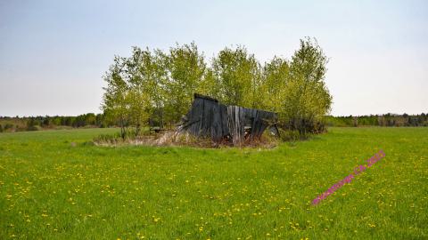 Will I Forever Be Alone.... - MAY 2023 - IMG_5369.JPG