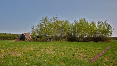 Will I Forever Be Alone.... - MAY 2023 - IMG_5370.JPG