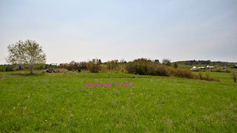 Will I Forever Be Alone.... - MAY 2023 - IMG_5371.JPG