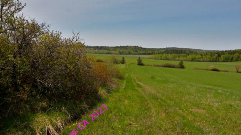 Will I Forever Be Alone.... - MAY 2023 - IMG_5372.JPG