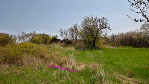 Will I Forever Be Alone.... - MAY 2023 - IMG_5374.JPG