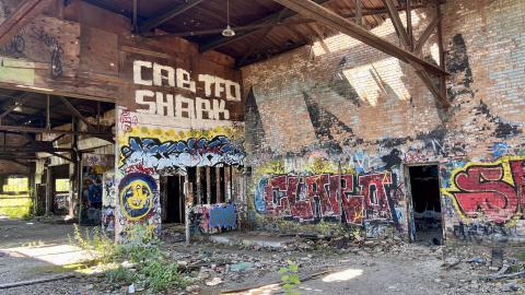 Short On Time - IMG_6643.jpg