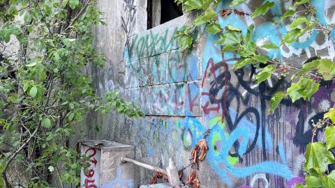 Short On Time - IMG_6666.jpg