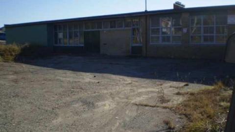 Ester Road Public School photo 4