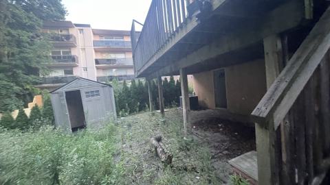 Pretty chairs - IMG_4105.jpeg