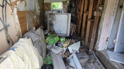 August' 24 - 20240815_135258.jpg