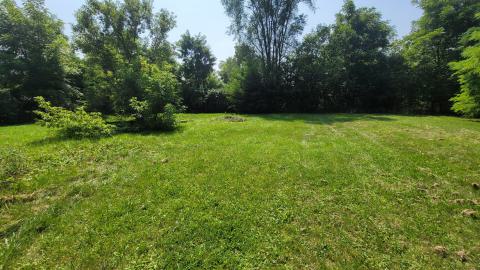 August' 24 - 20240815_135851.jpg