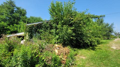 August' 24 - 20240815_140104.jpg