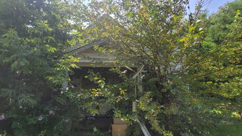 August' 24 - 20240815_140003.jpg