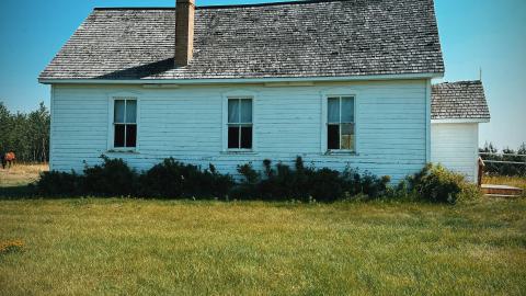 Arson Survivor - 04B62829-E611-48AA-B294-5C520FDF573A.jpeg