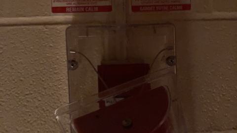 French Elementary - IMG_4173.jpeg