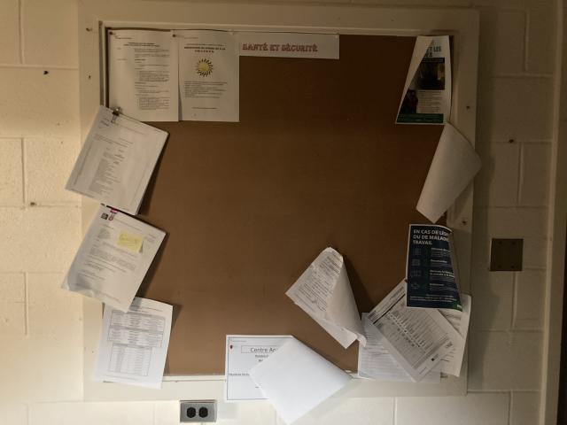 Ecole Bayview Nord photo 5