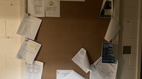 Ecole Bayview Nord photo 5