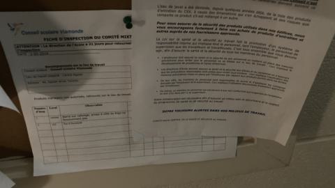 French Elementary - IMG_4183.jpeg