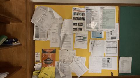 French Elementary - IMG_4189.jpeg