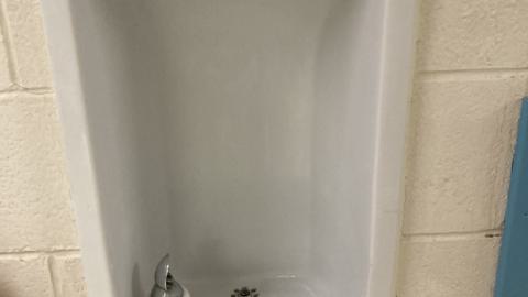 French Elementary - IMG_4190.jpeg