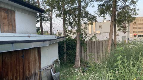 Whos Messing With Us? - IMG_4151.jpeg