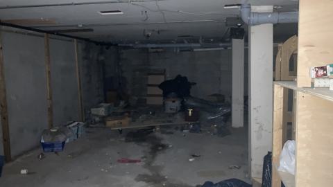 Whos Messing With Us? - IMG_4111.jpeg