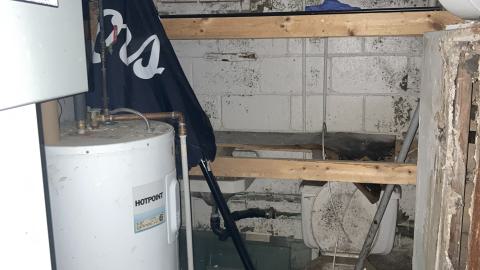 Whos Messing With Us? - IMG_4115.jpeg