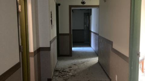 Whos Messing With Us? - IMG_4141.jpeg