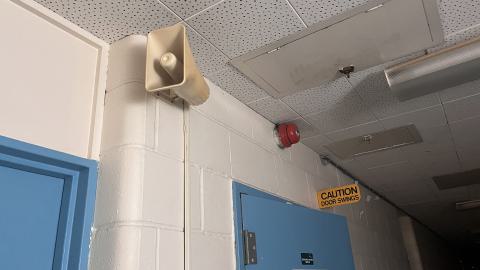 Dunked On - IMG_6982.jpg