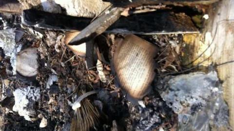 The remains - Burnt-out-Remains9.jpg