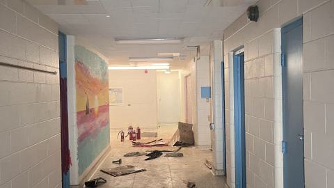 Photo from Dunked On