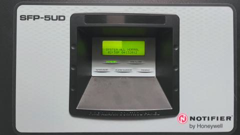 Dunked On - IMG_6940.jpg