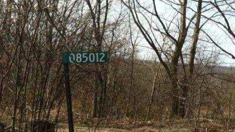 The remains - Burnt-out-Remains6.jpg