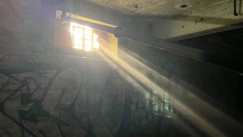 Some new pics - photo_7_2024-08-17_00-27-32.jpg