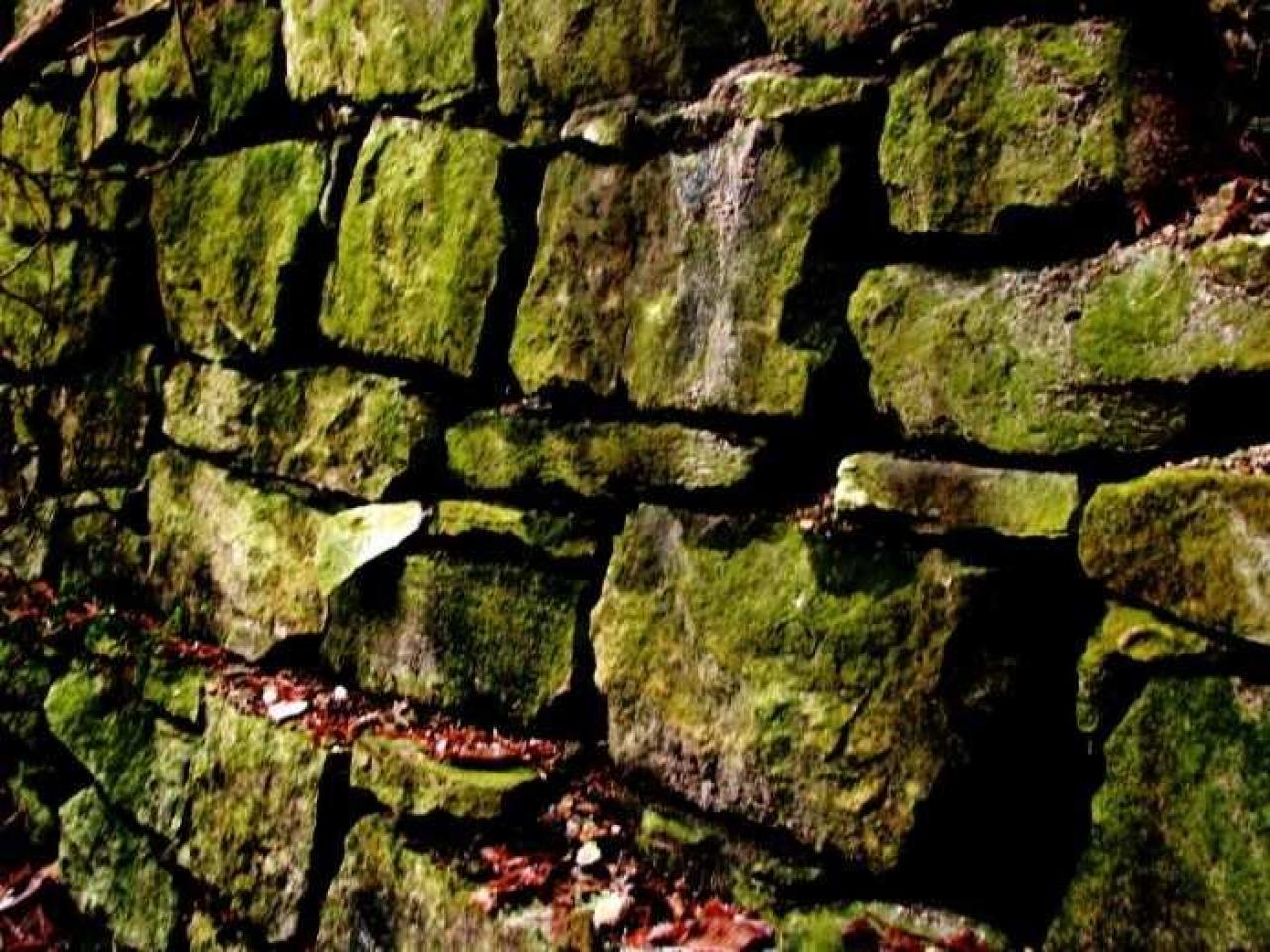 Limehouse Kilns - Limehouse-Kilns79.jpg