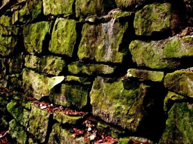 Limehouse Kilns photo 5