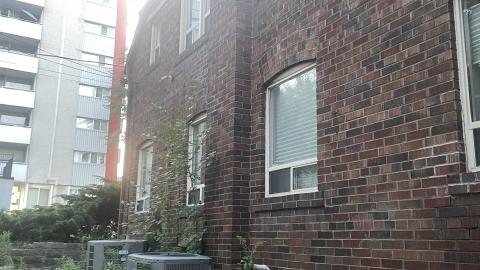 Photo from Basement 😔