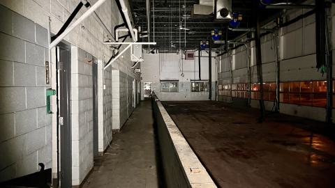 Shadows & Lighting - IMG_7646.jpg