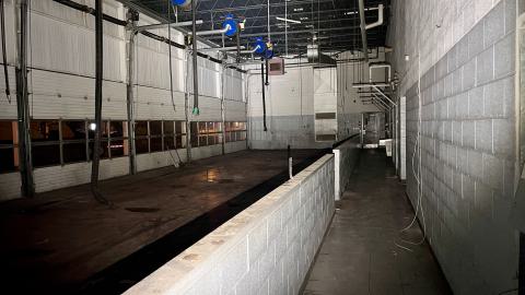 Shadows & Lighting - IMG_7596.jpg