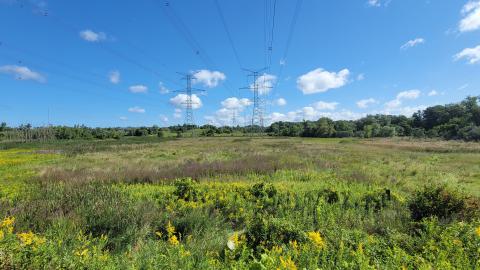 Almost The Whole Thing - 20240820_101336.jpg