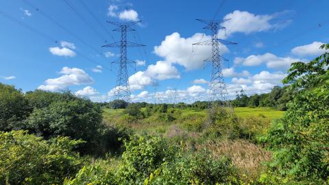 Almost The Whole Thing - 20240820_101443.jpg