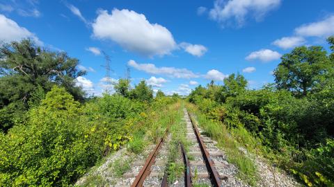 Almost The Whole Thing - 20240820_101050.jpg