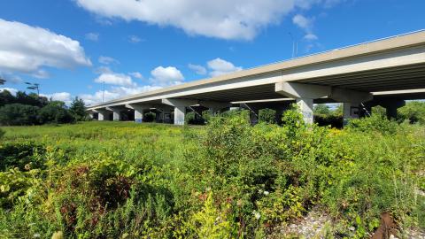 Almost The Whole Thing - 20240820_101729.jpg