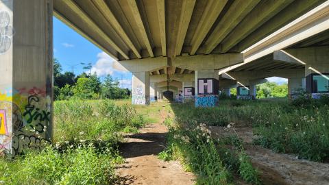 Almost The Whole Thing - 20240820_101833.jpg