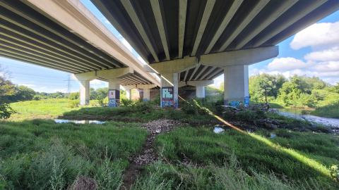 Almost The Whole Thing - 20240820_102129.jpg