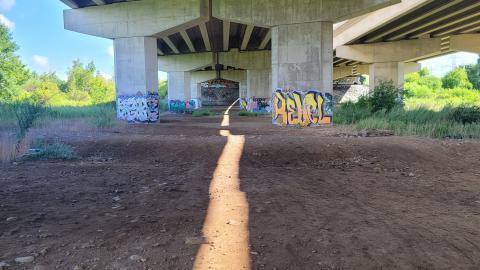 Almost The Whole Thing - 20240820_102223.jpg