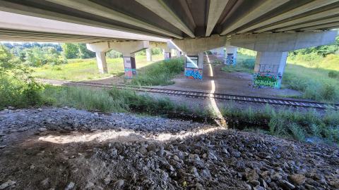 Almost The Whole Thing - 20240820_102556.jpg