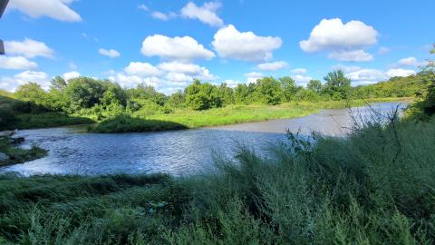 Almost The Whole Thing - 20240820_102148.jpg