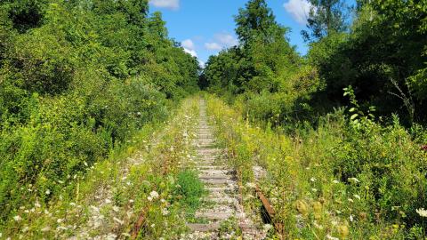 Almost The Whole Thing - 20240820_103112.jpg