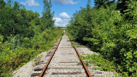 Almost The Whole Thing - 20240820_111044.jpg